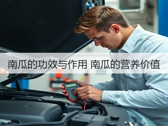 南瓜的功效与作用 南瓜的营养价值(图3) 南瓜的功效与作用 南瓜的营养价值(图3)