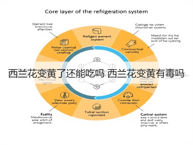 西兰花变黄了还能吃吗 西兰花变黄有毒吗(图2) 西兰花变黄了还能吃吗 西兰花变黄有毒吗(图2)