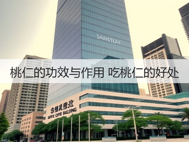 桃仁的功效与作用 吃桃仁的好处(图2) 桃仁的功效与作用 吃桃仁的好处(图2)