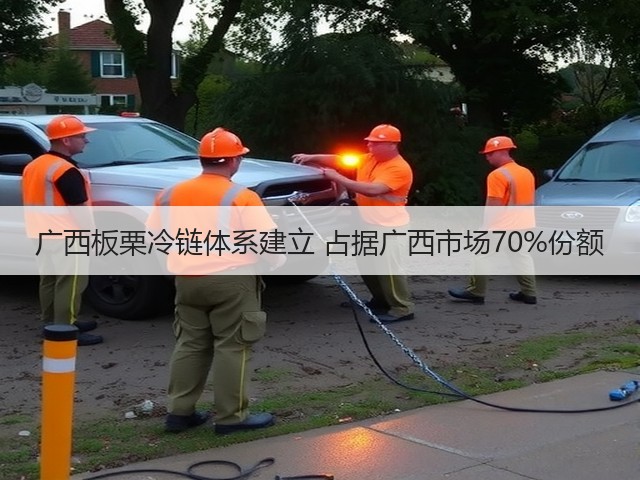 广西板栗冷链体系建立 占据广西市场70%份额(图3) 广西板栗冷链体系建立 占据广西市场70%份额(图3)