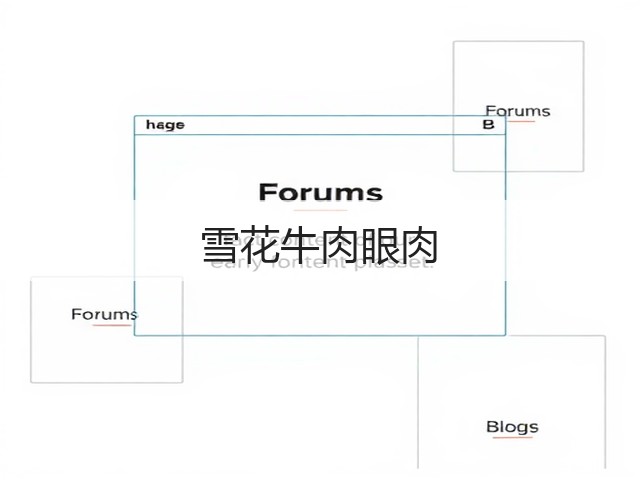 雪花牛肉眼肉(图1)