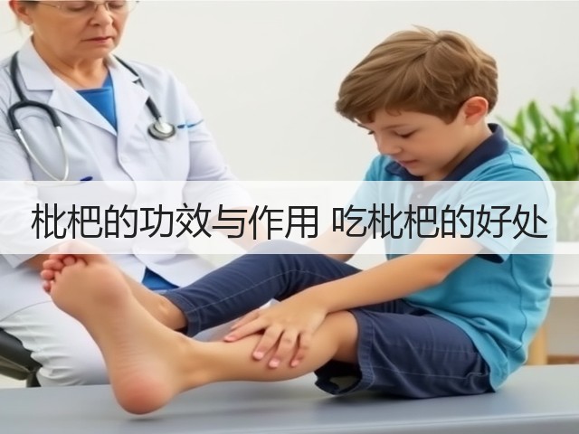 枇杷的功效与作用 吃枇杷的好处(图2) 枇杷的功效与作用 吃枇杷的好处(图2)